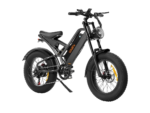 Bicicleta Eléctrica AILIFE X20B 1000W, 48V 15Ah, 30mph